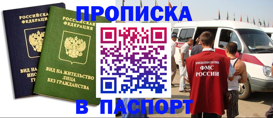 прописка в Ельне